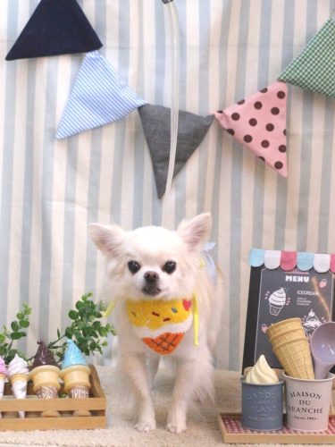 20250506りゅうくん